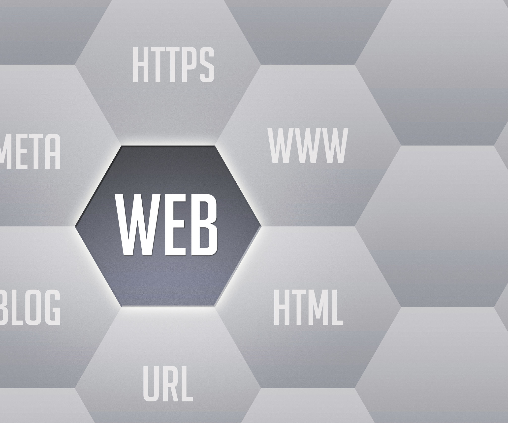 webentwicklung