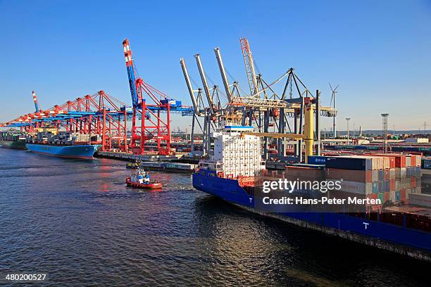 container terminal, harbour of hamburg, germany - hamburger hafen stock-fotos und bilder