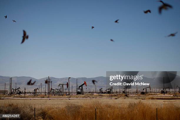 Swallows fly over a canal in an oil field over the Monterey Shale formation where gas and oil extraction using hydraulic fracturing, or fracking, is...