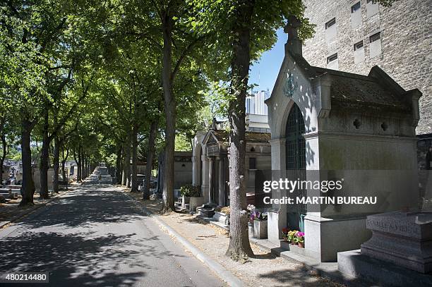 Picture taken on July 10, 2015 at the Montparnasse cemetery in Paris shows the vault sheltering the remains of former president of Mexico Porfirio...