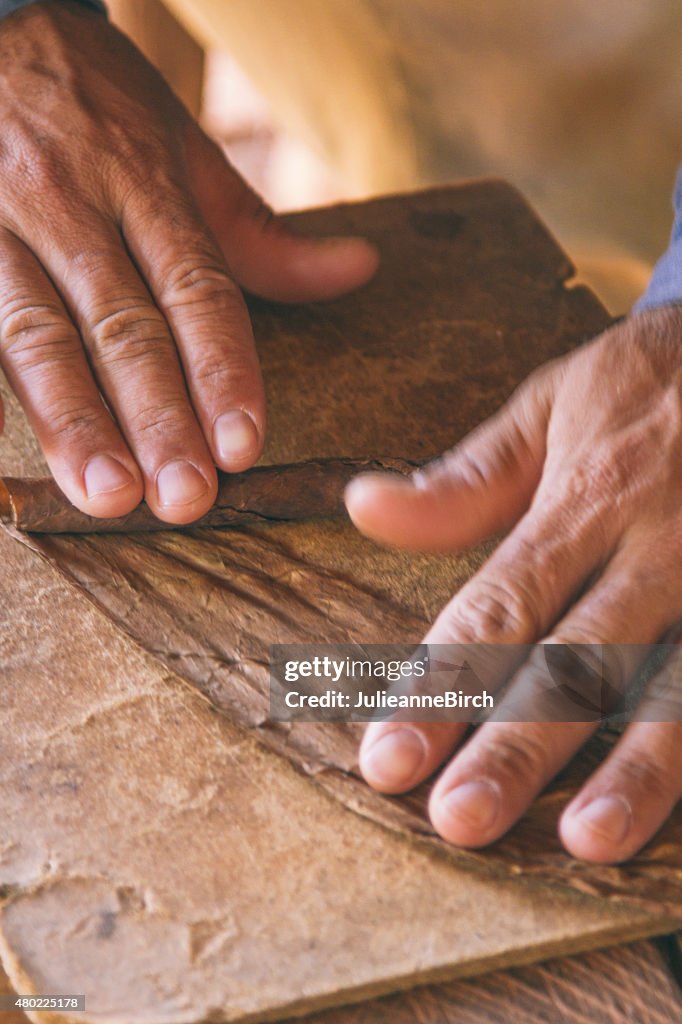 Rolling a cigar