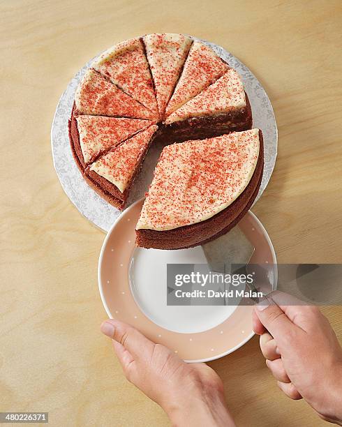 biggest slice of cake being lifted onto plate - biggest cake stock pictures, royalty-free photos & images