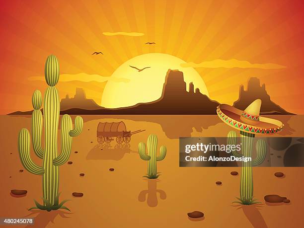 mexican desert - cactus sombrero stock illustrations