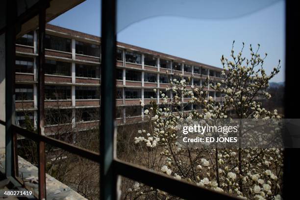 Photo taken on March 22, 2014 shows a general view of an abandoned school near Daejeon some 160 km south of Seoul. As Asia becomes an increasingly...