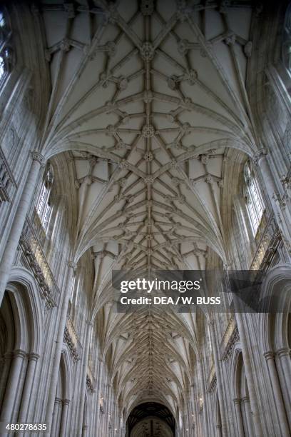 The vault of the nave in Winchester cathedral, built in 1079 in Perpendicular Gothic style, Winchester, Hampshire, United Kingdom.