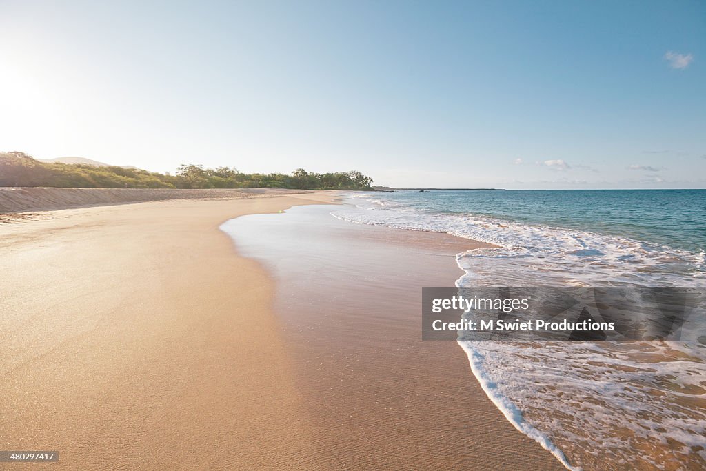 Coast beach