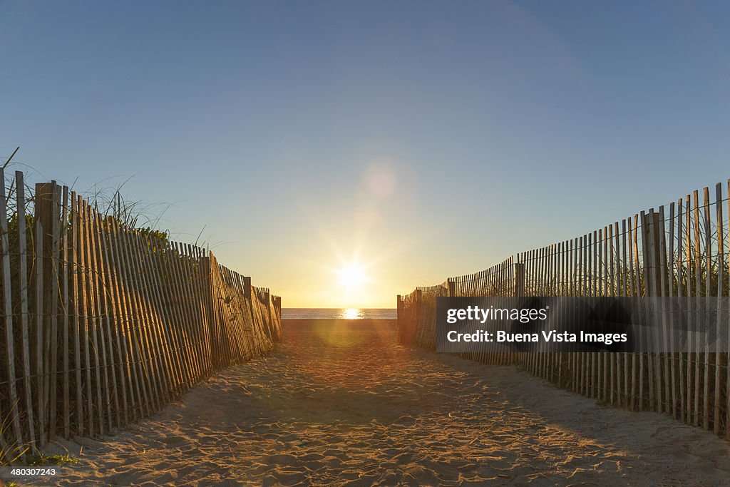 A path to the beach at sunrise