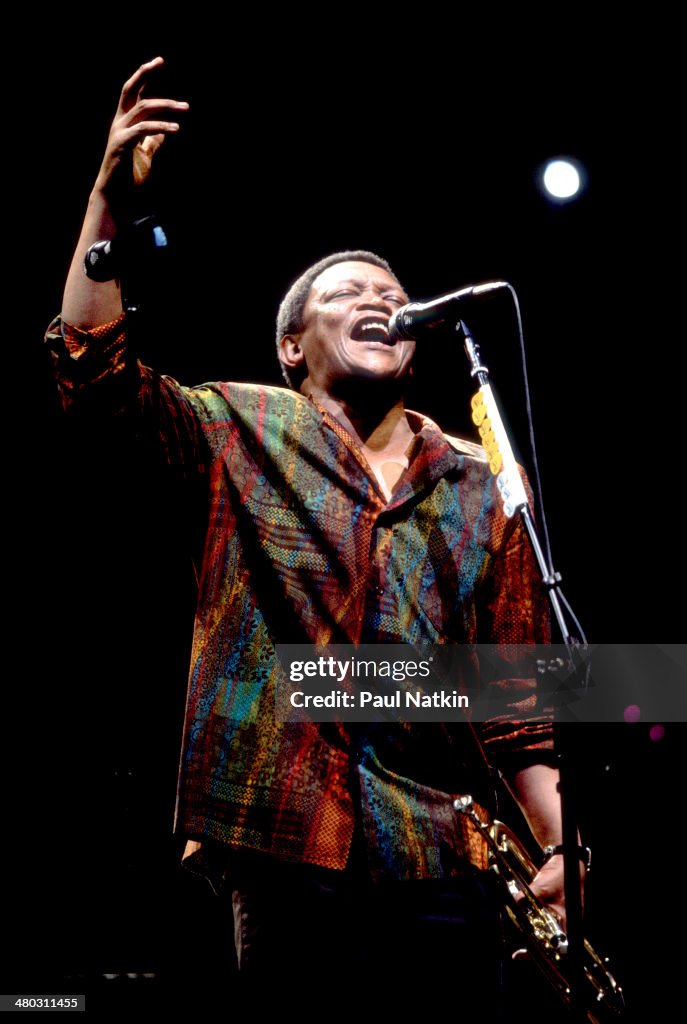 Hugh Masakela Performs Onstage