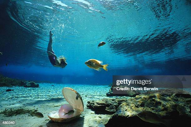 woman swimming underwater with pearl - oyster pearl stockfoto's en -beelden