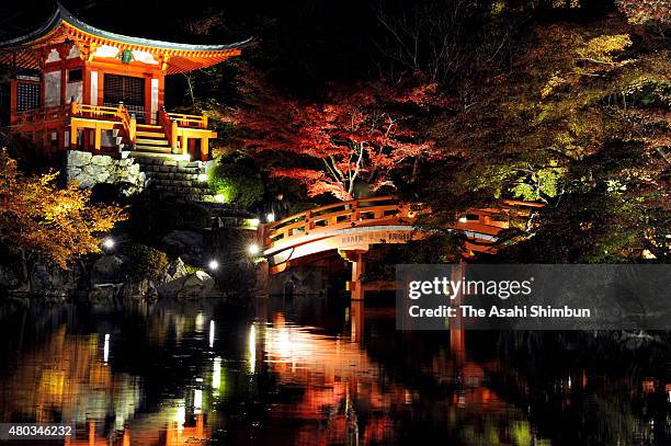 Visitors enjoy illuminated autumn colours at Daigoji Temple on November 25, 2011 in Kyoto, Japan.