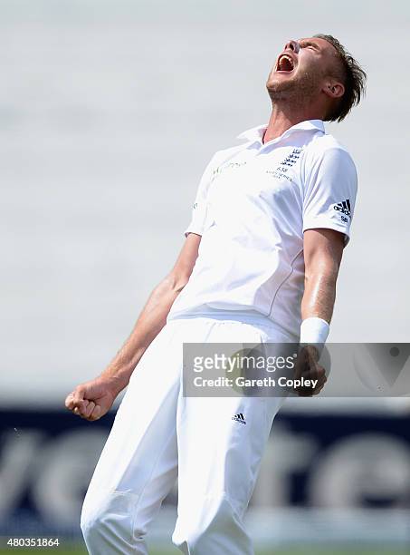 Stuart Broad of England celebrates dismissing Chris Rogers of Australia during day four of the 1st Investec Ashes Test match between England and...