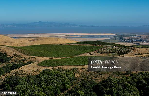 Prime farm and vineyard land sits at the edge of the San Francisco Bay as viewed from the air on June 22 near Petaluma, California. Growth has become...