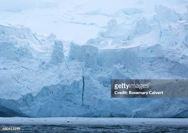 blue ice of huge glacier on elephant island. - elephant island south shetland islands stockfoto's en -beelden