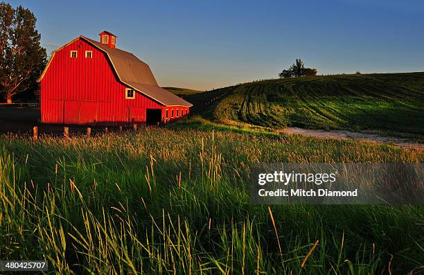 country red barn - agrarisch gebouw stockfoto's en -beelden