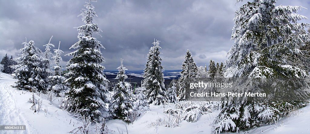 Top of Erbeskopf (816 m), Hunsrück, Germany