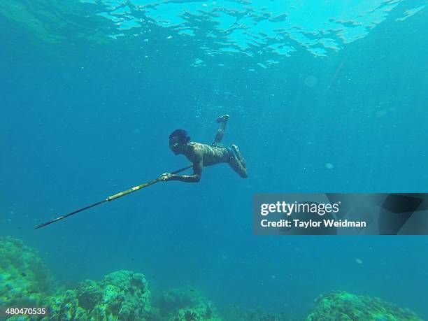 Danong, an indigenous Moken man, hunts for fish using a traditional bamboo spear near his village in Ko Surin National Park, Thailand. Often called...