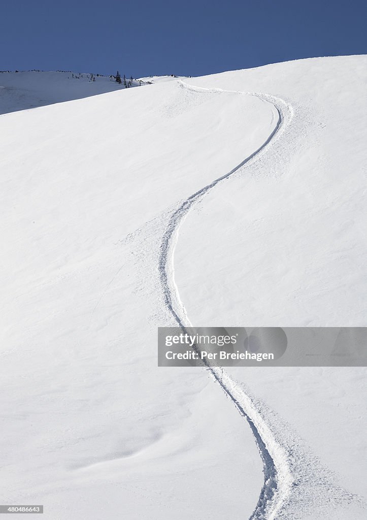 Fresh snowboard tracks in powder