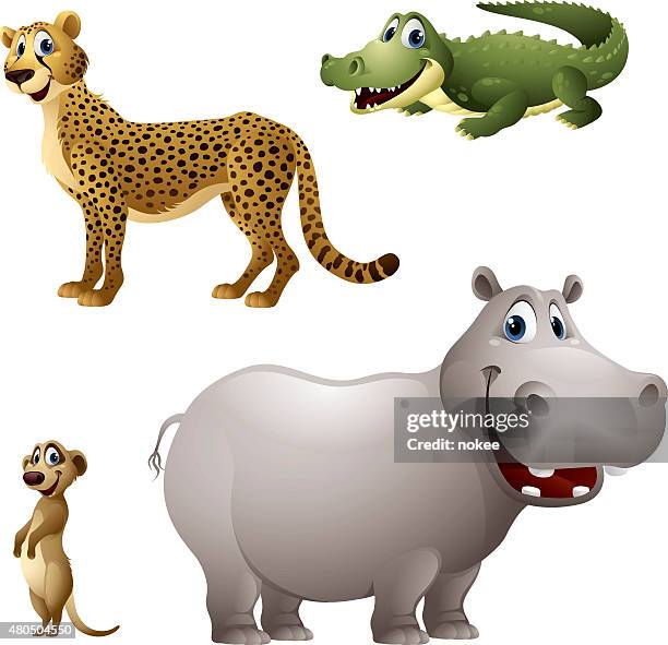 ilustraciones, imágenes clip art, dibujos animados e iconos de stock de conjunto de dibujos animados animal de guepardo africano, abertura múltiple, suricata, hipopótamo - hipopótamo