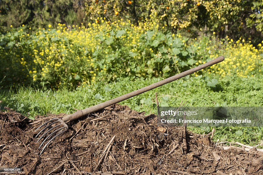 Compost