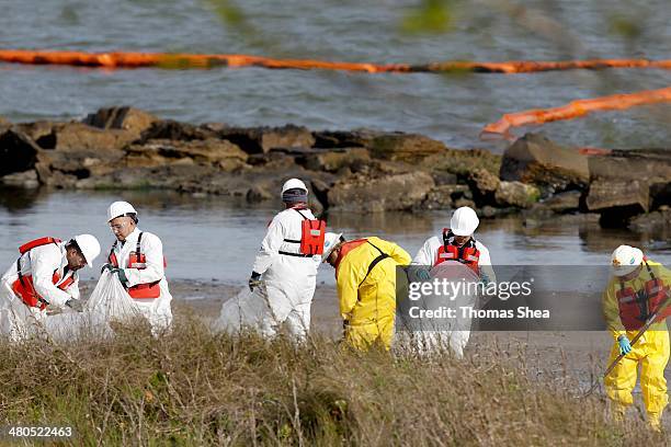 Workers with Garner Environmental Services clean up oil at East Beach on the Houston Ship Channel on March 25, 2014 in Galveston, Texas. Over 160,000...