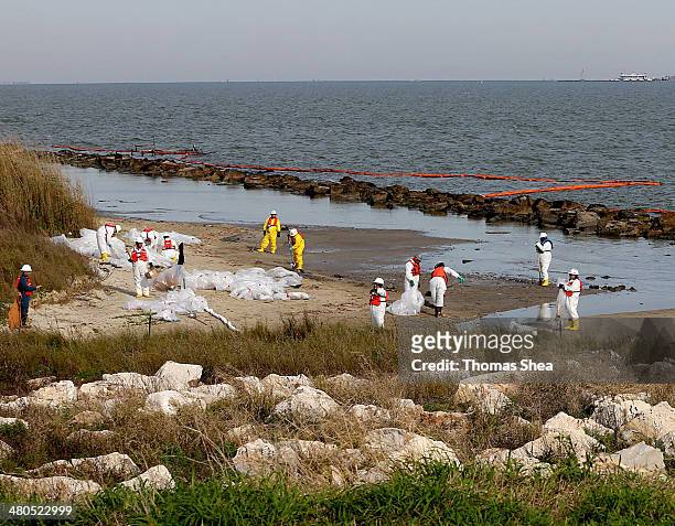 Workers with Garner Environmental Services clean up oil at East Beach on the Houston Ship Channel on March 25, 2014 in Galveston, Texas. Over 160,000...