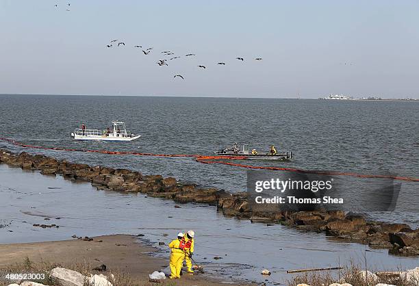 Workers with Garner Environmental Services clean up oil at East Beach on the Houston Ship Channel on March 25, 2014 in Galveston, Texas. Over 160,000...