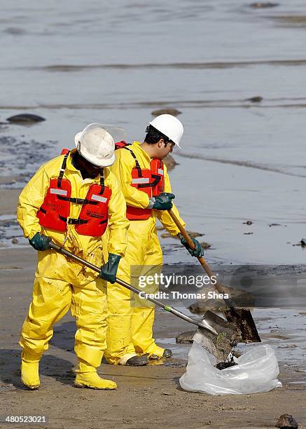 Workers with Garner Environmental Services clean up oil at East Beach on the Houston Ship Channel on March 25, 2014 in Galveston, Texas. Over 160,000...