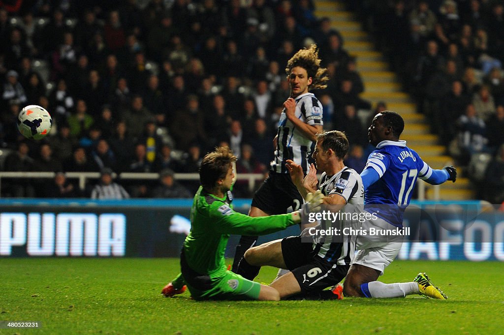 Newcastle United v Everton - Premier League