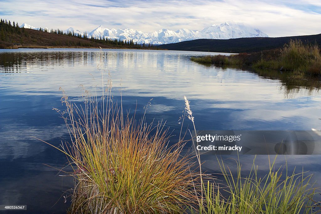 Mt. McKinley from Wonder Lake with turf of grass