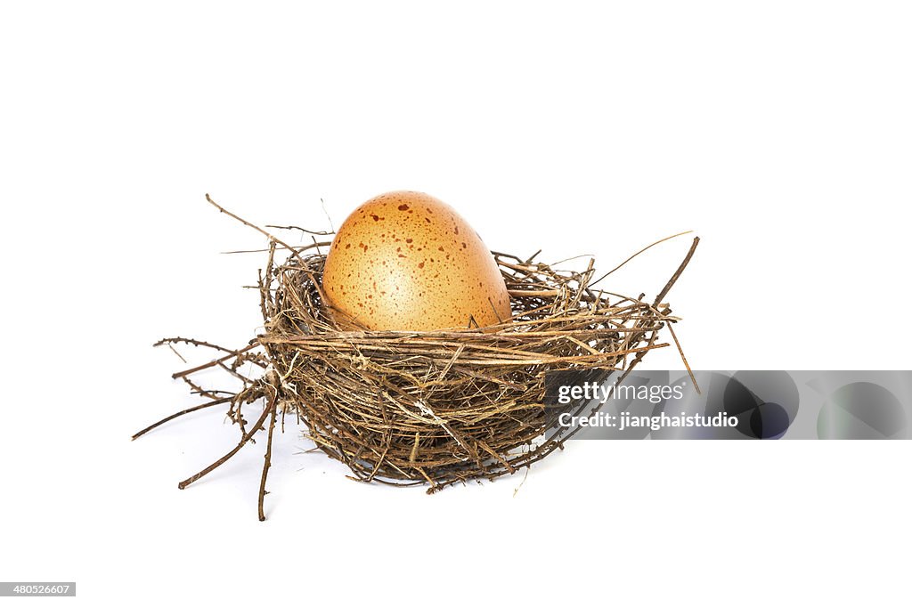 Egg on a white background