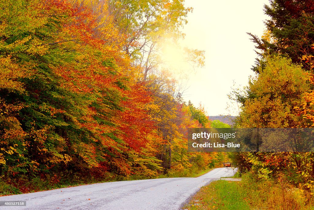 Country Road in Fall, Vermont