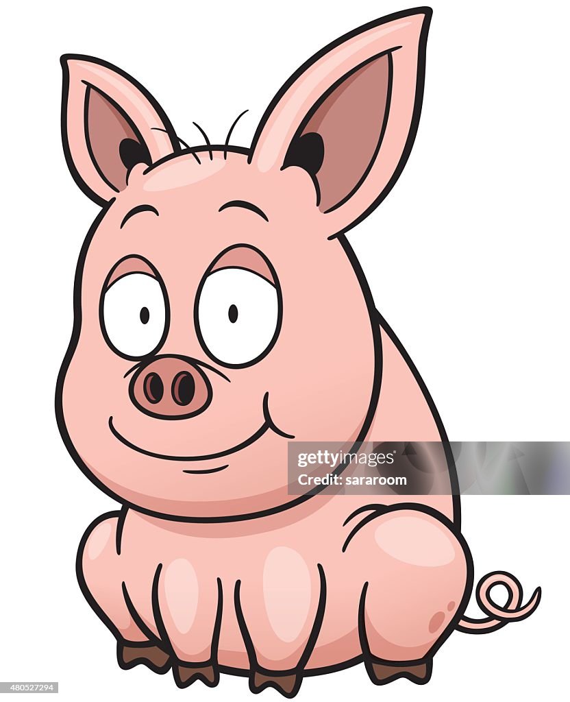 Pig