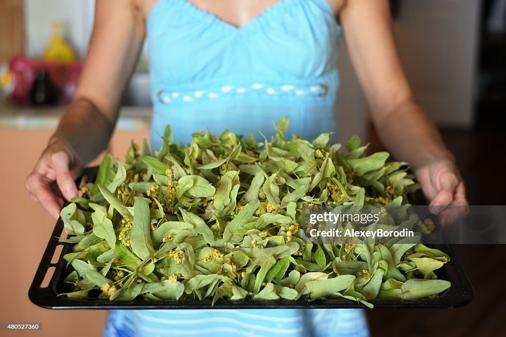 Woman in blue holding tray of dried linden flowers