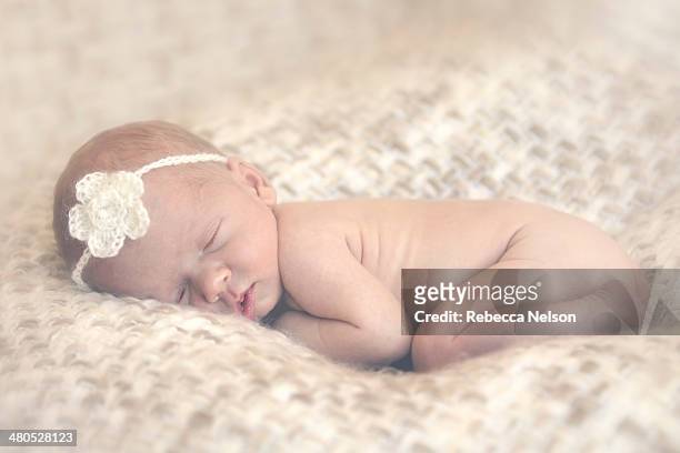 newborn baby in neutral colors - curled up - fotografias e filmes do acervo