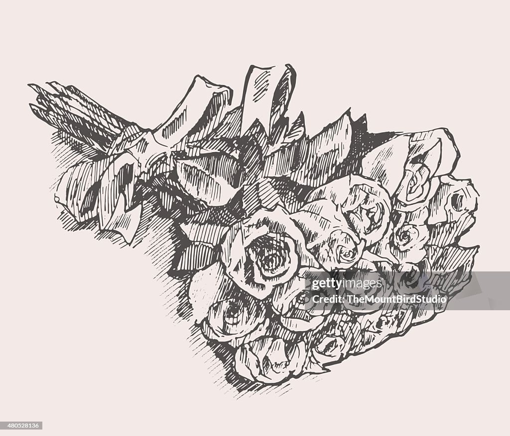 Strauß Rosen mit Band hand drawn sketch