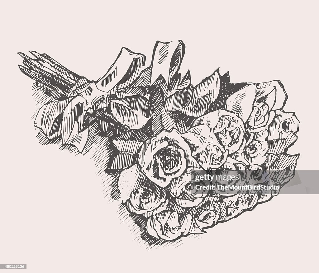 Bouquet of roses with ribbon hand drawn sketch