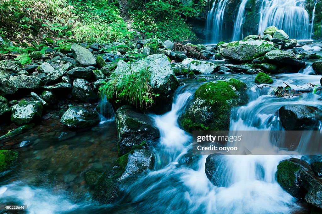 Waterfalls & Mountain Stream in Summer