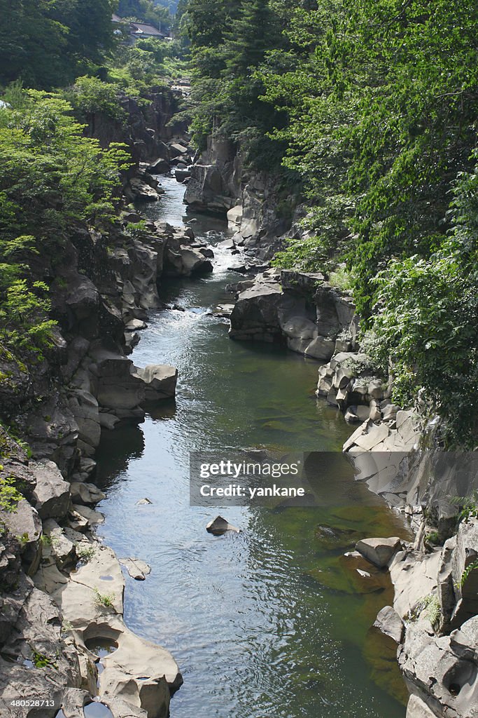 Valley genbi in Iwate, Touhoku