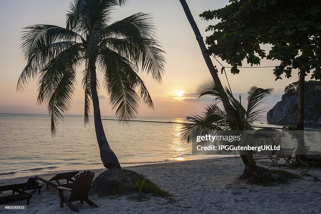 Palm trees and deck chairs on beach at sunset