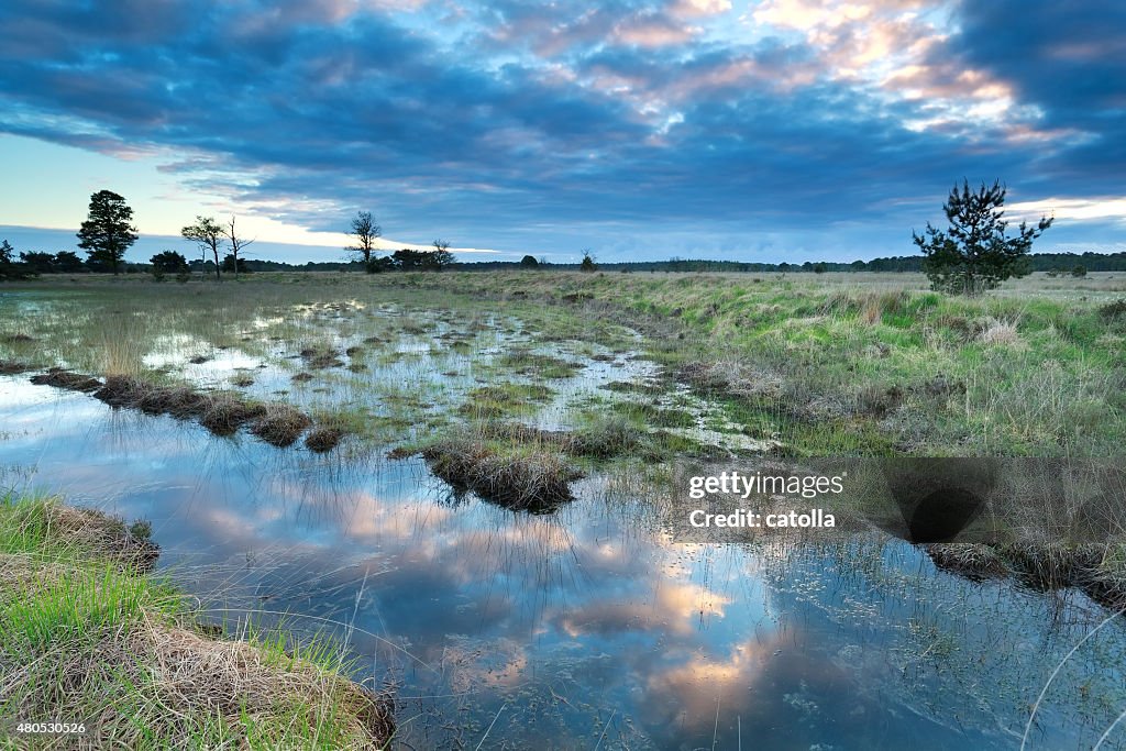 Morgen Himmel spiegelt sich in Wasser-Sumpf