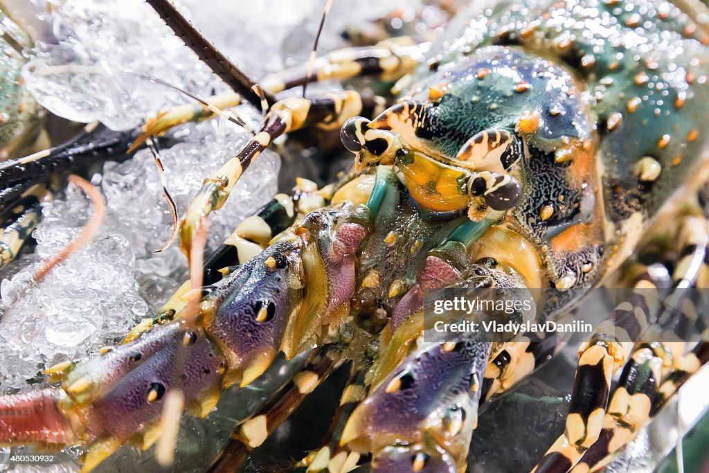 Aragosta con Barbecue cucina a base di pesce.