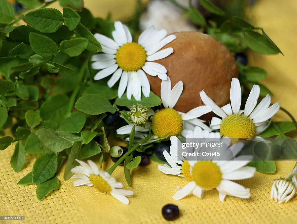 Forest plants on a napkin