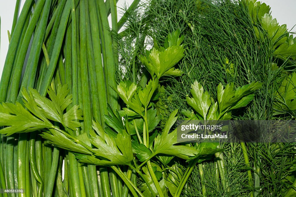 Background of dill, parsley and onions