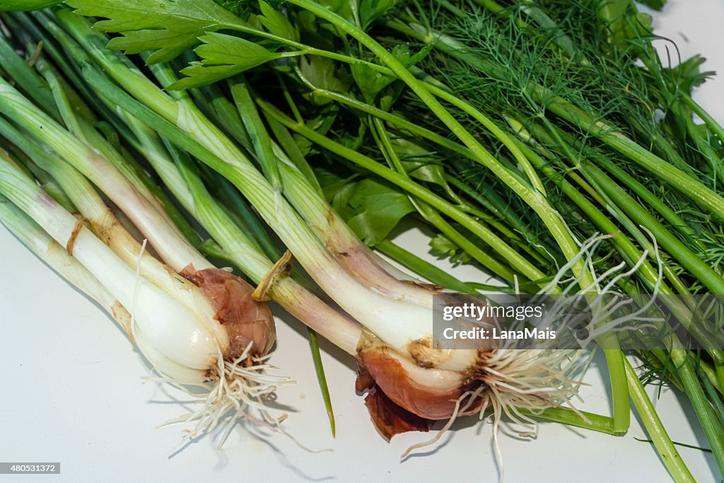 Plantas aromáticas frescas em um fundo branco