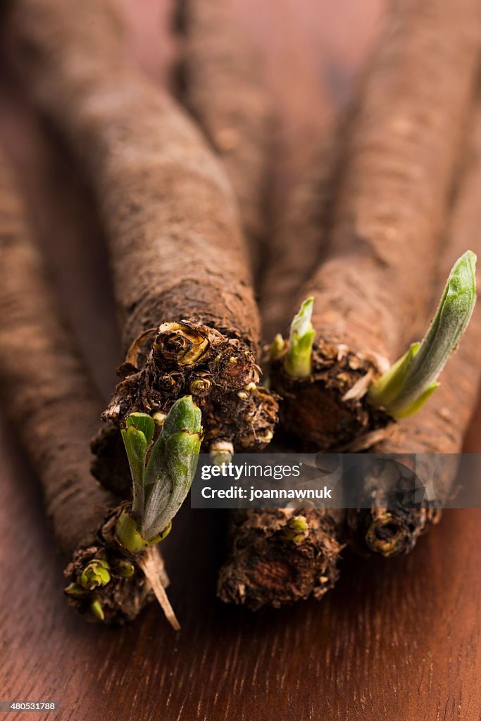 Salsify vegetables on wood