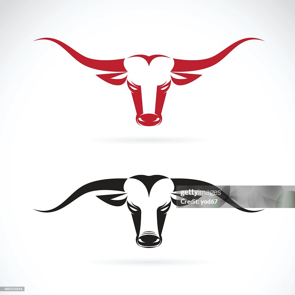 Vector image of an bull head on white background