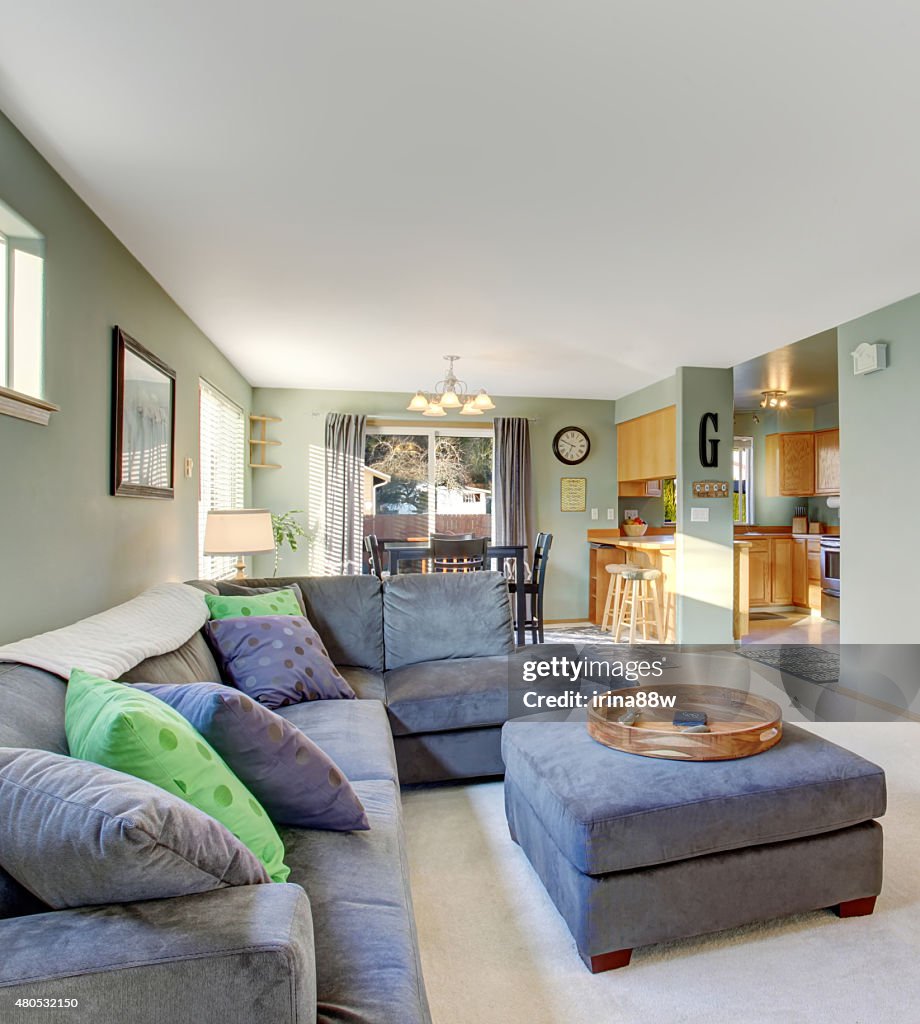 Classic living room with carpet.