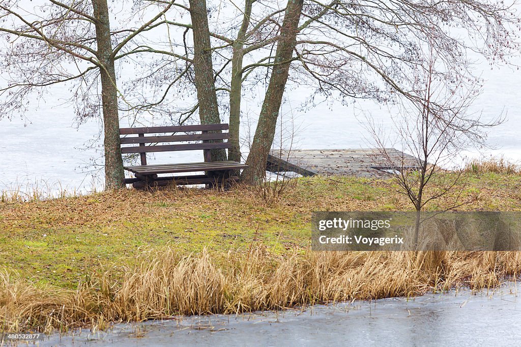Singolo panca in legno e alberi sul fiume o un lago shore