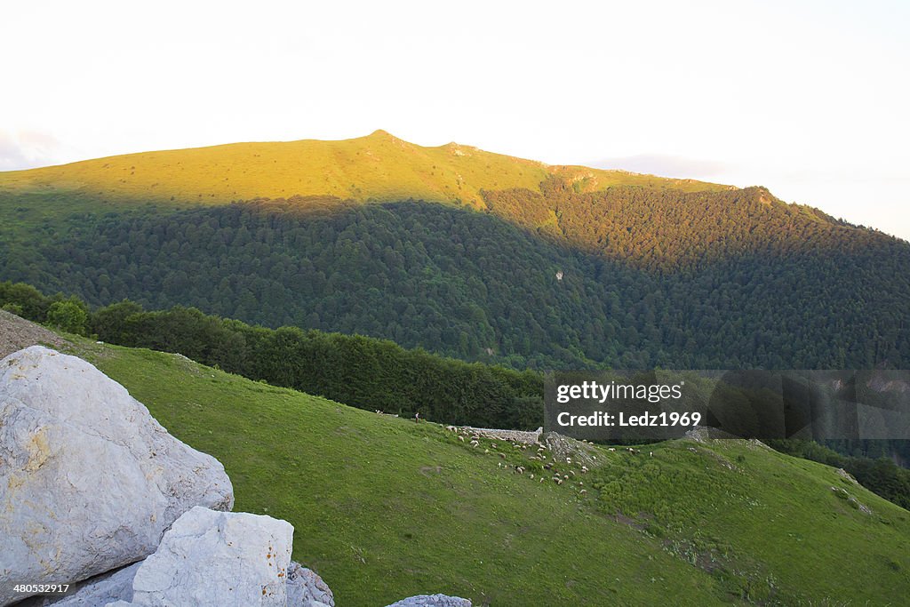 Herd on mountain slope