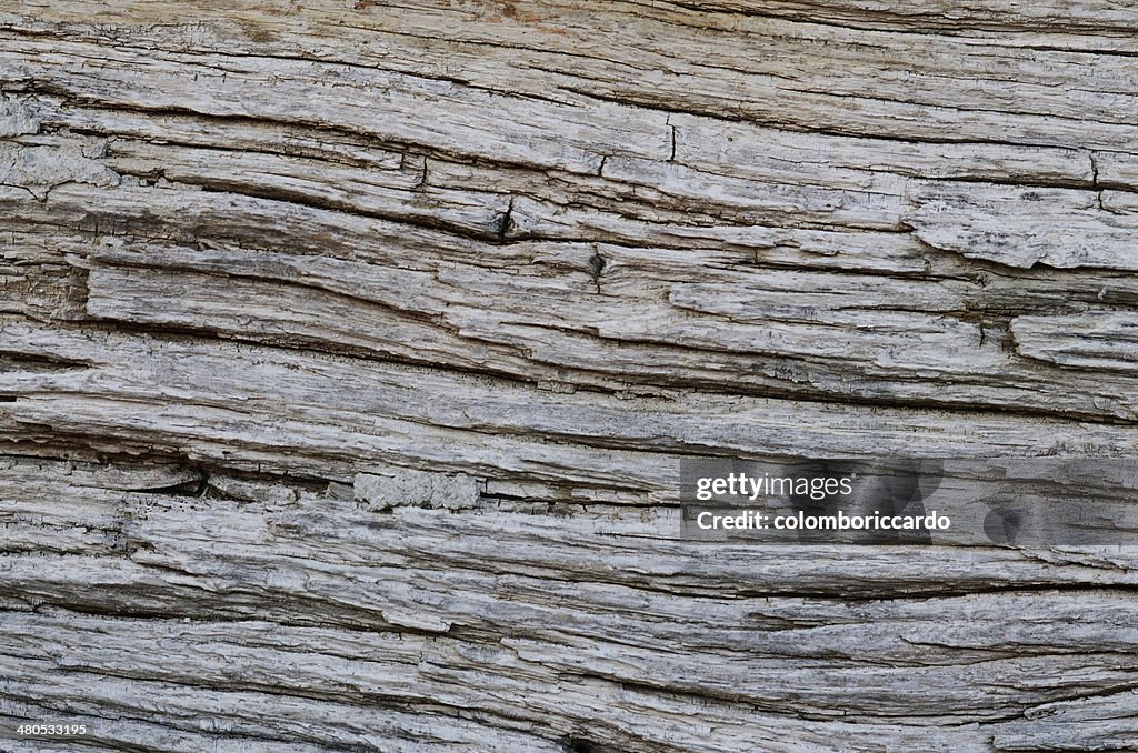 Holz Textur Hintergrund